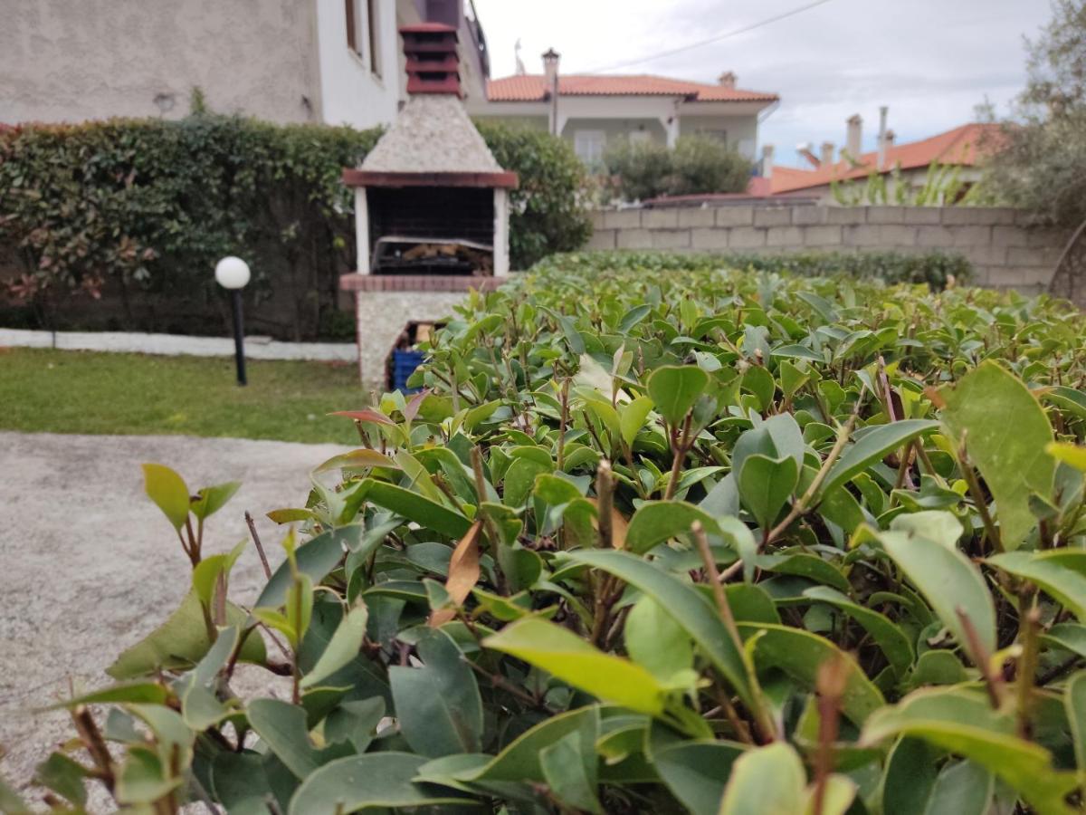 Elina House Villa Nikiti  Dış mekan fotoğraf